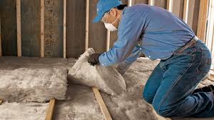 Best Insulation for New Construction  in Fort Bliss, TX