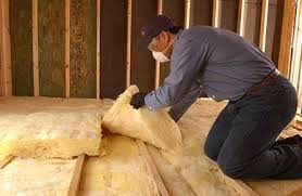 Best Garage Insulation  in Fort Bliss, TX