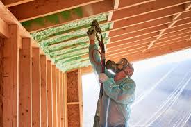 Best Radiant Barrier Insulation  in Fort Bliss, TX