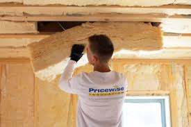 Best Spray Foam Insulation  in Fort Bliss, TX